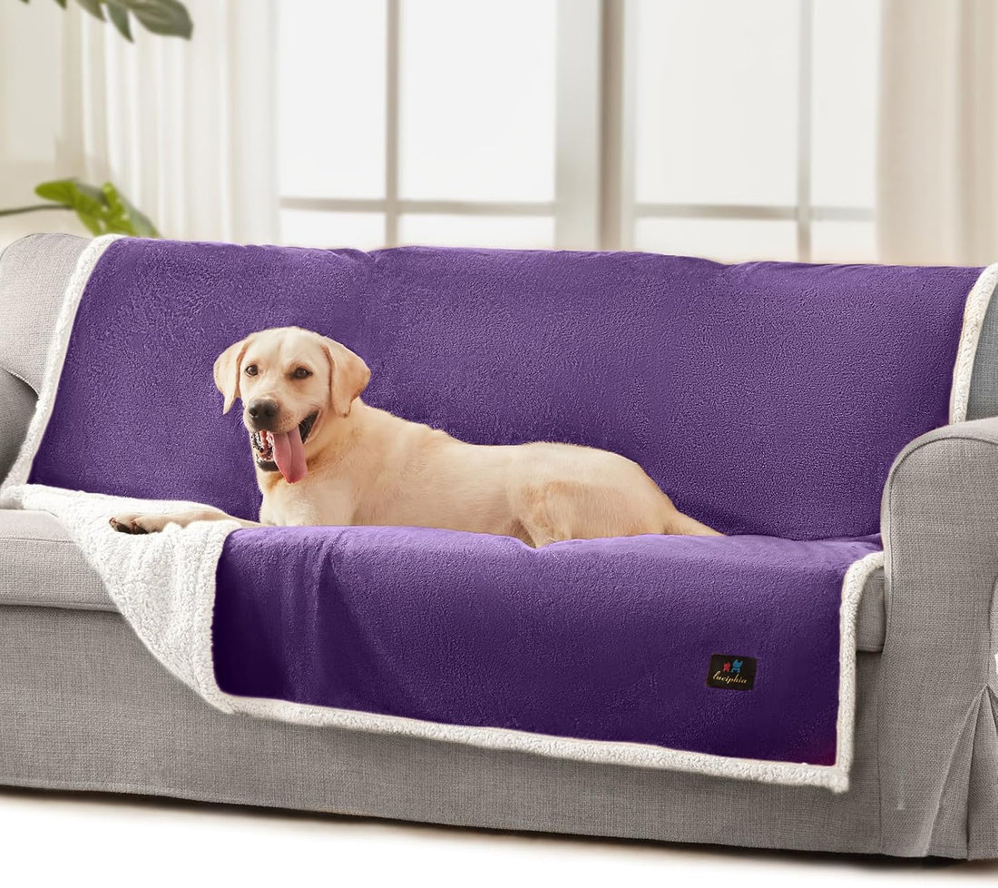 Luciphia Waterproof Pet Blanket
