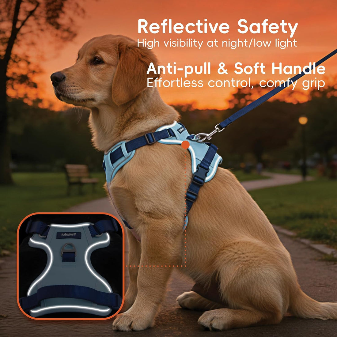 Dog Harness and Leash Set with Collar