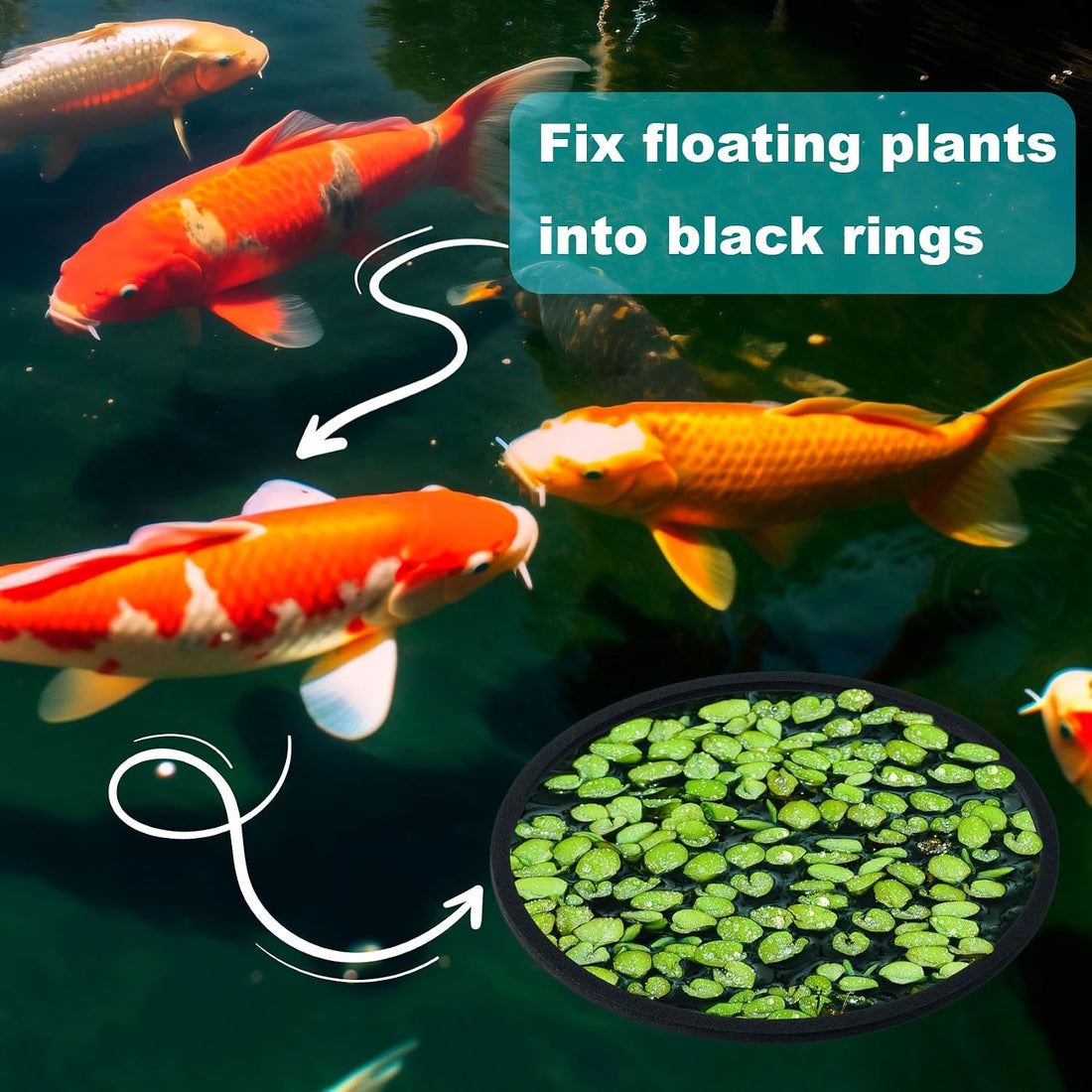 OIIKI 10 PCS Fish Feeding Rings Sets, Floating Aquarium Plant Corral