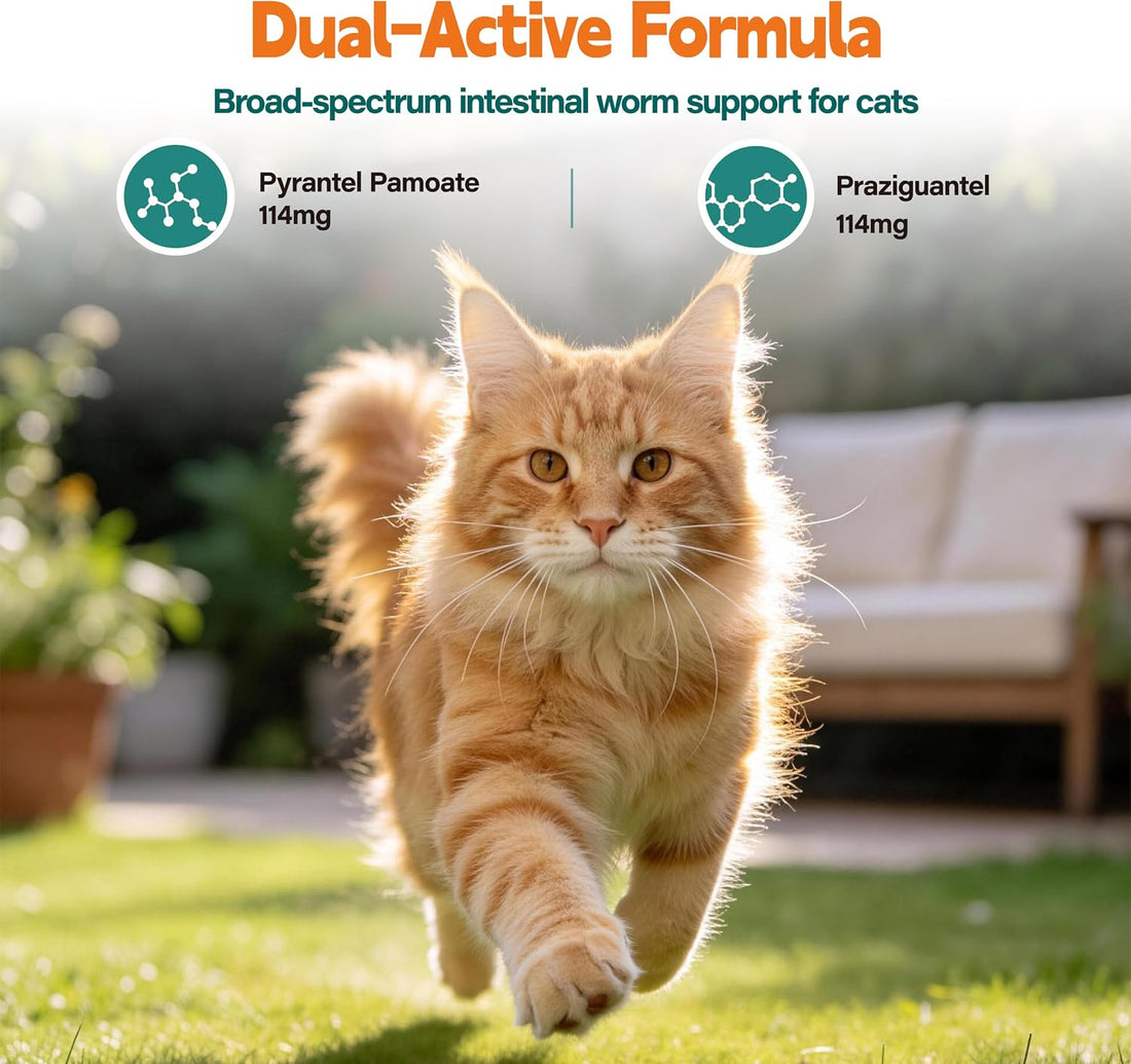 DEwormer for Cats, Broad Spectrum Tablets for Cats & Kittens, 60 Count