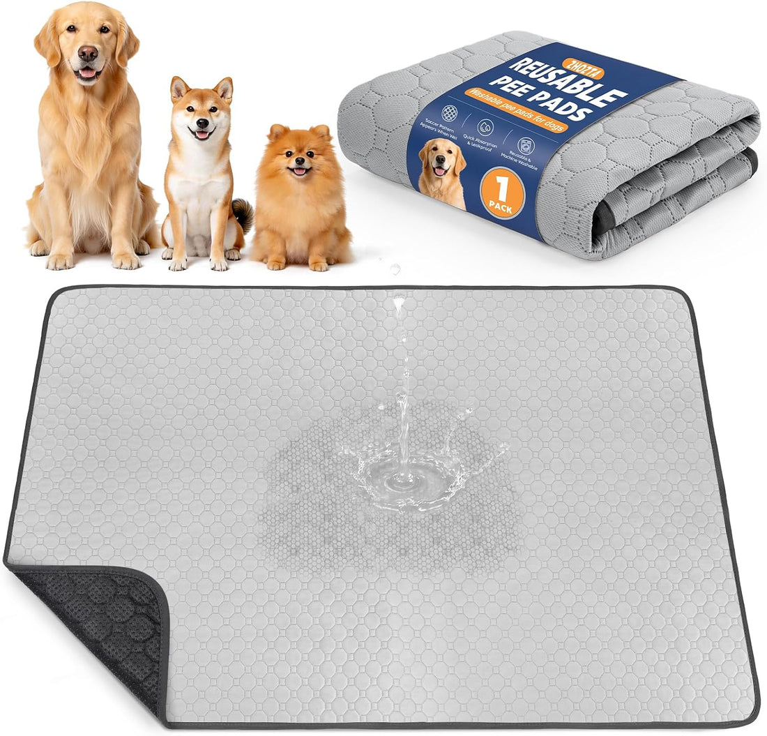 2 Pack Washable Pee Pads for Dogs, 36" x 36"