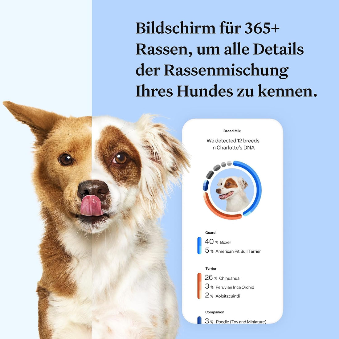 Wisdom Panel Dog Breed Detection DNA Test Kit