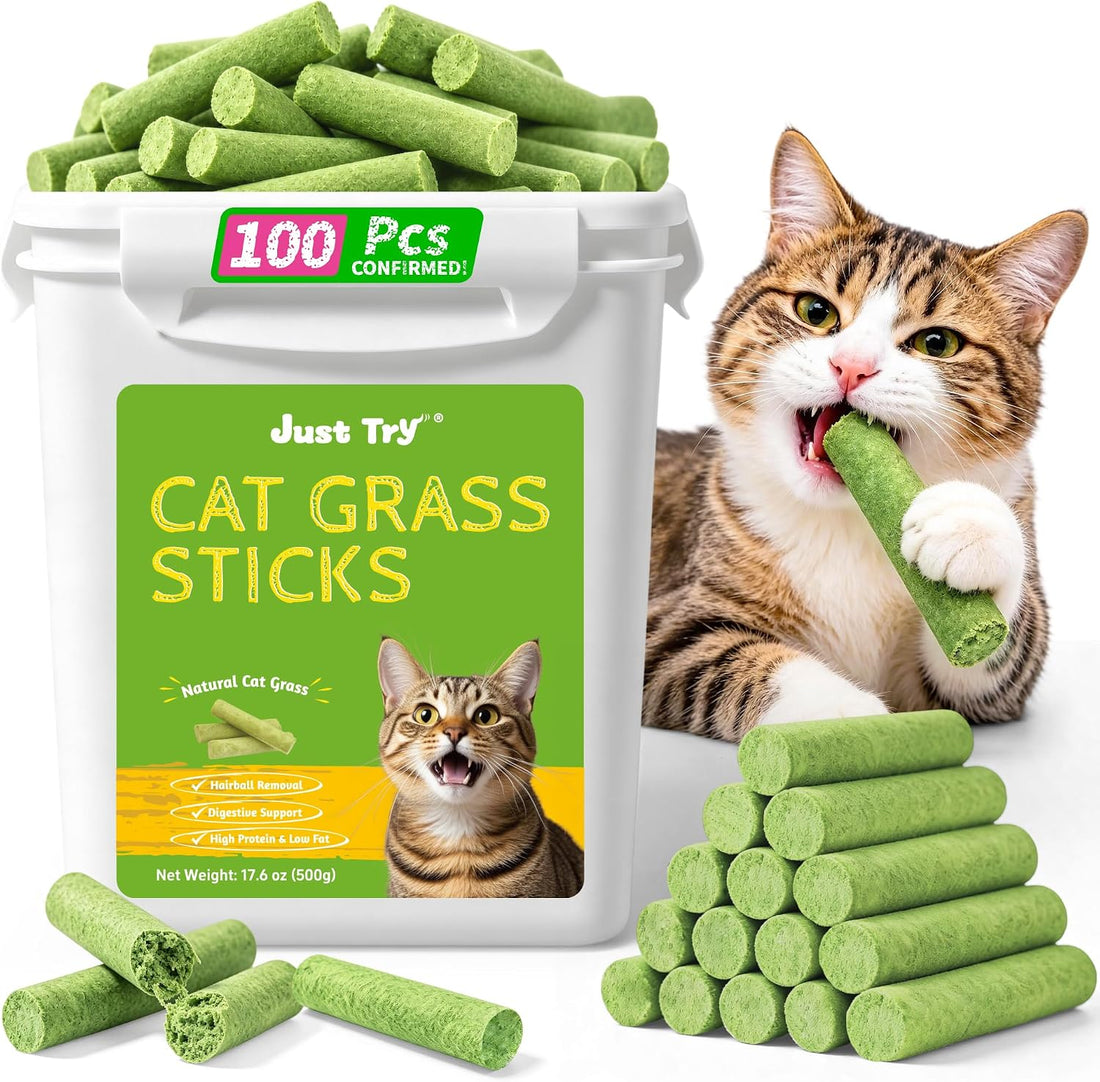 Just Try 500g Cat Grass Sticks,Cat Grass Treats for Teeth Cleaning