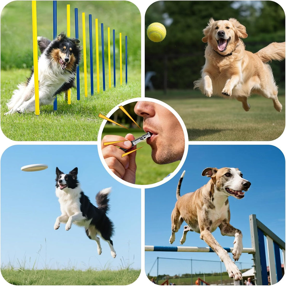 2 Pack Ultrasonic Dog Whistles