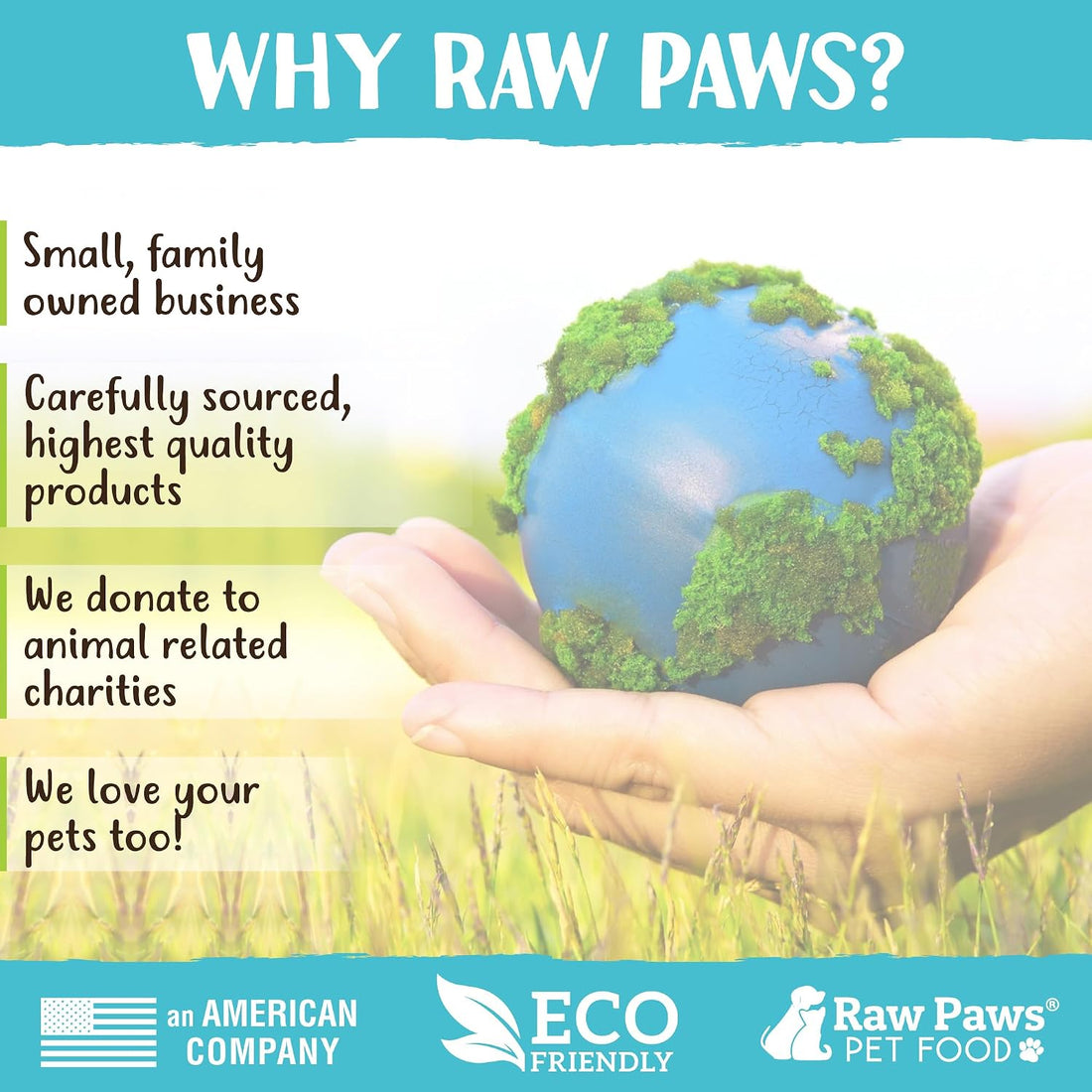 Raw Paws 10-inch Compressed Rawhide Bones for Dogs - Large, 10-Count