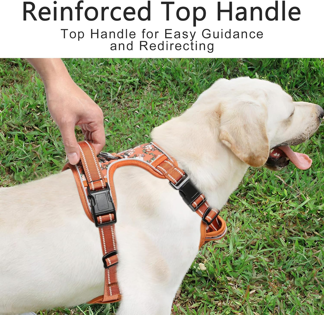 Timos Dog Harness, No Pull Large Sized with 3 Buckles, Flower Orange