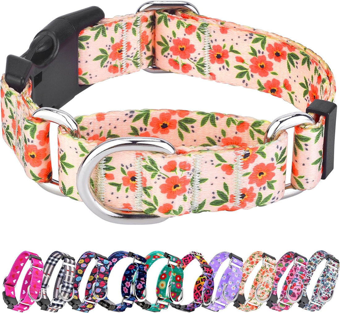 Martingale Dog Collar with Buckle,Adjustable Soft Nylon with Pattern,M
