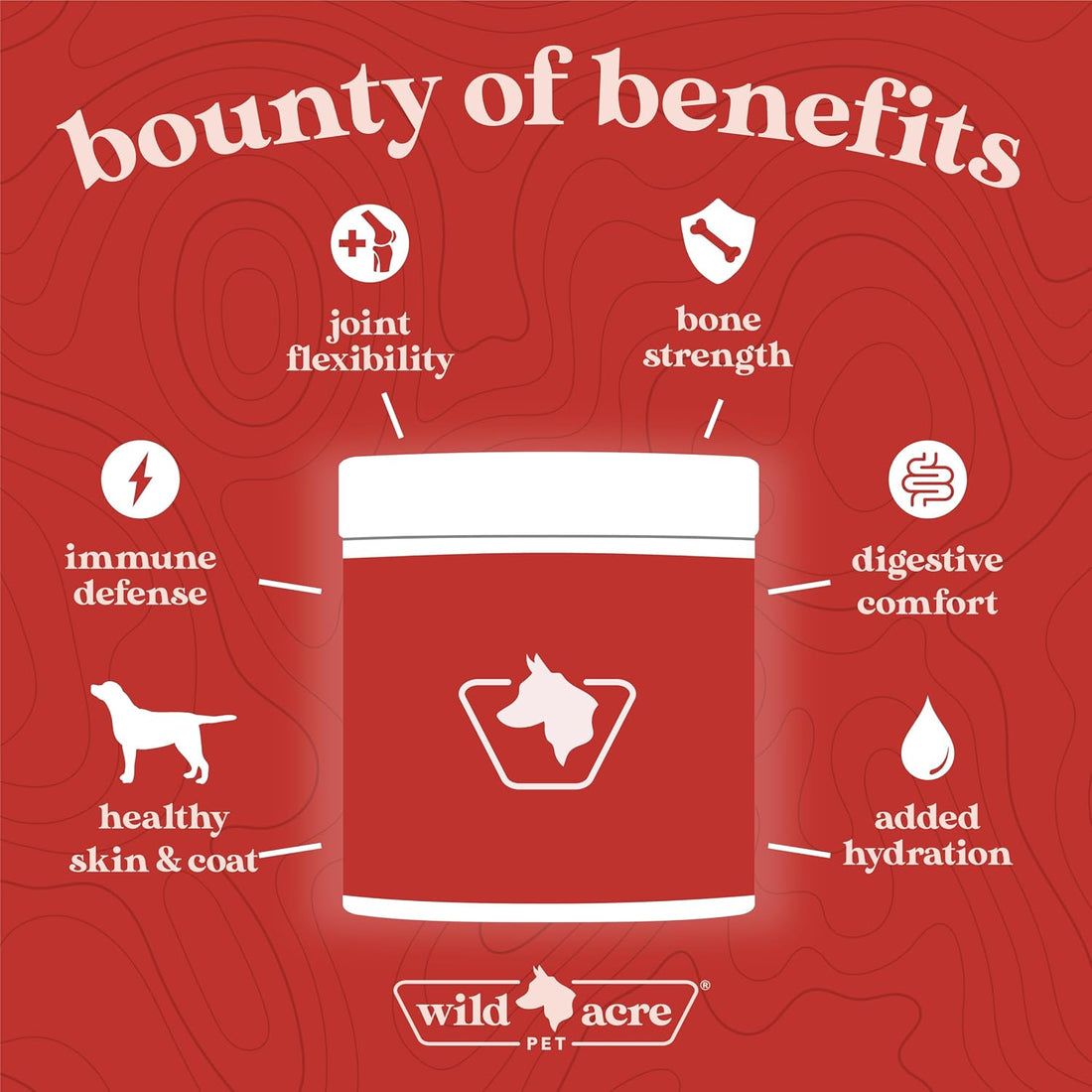 Wild Acre Premium Beef Bone Broth for Dogs