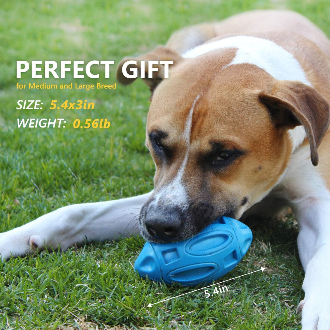 EASTBLUE Squeaky Dog Toys for Aggressive Chewers