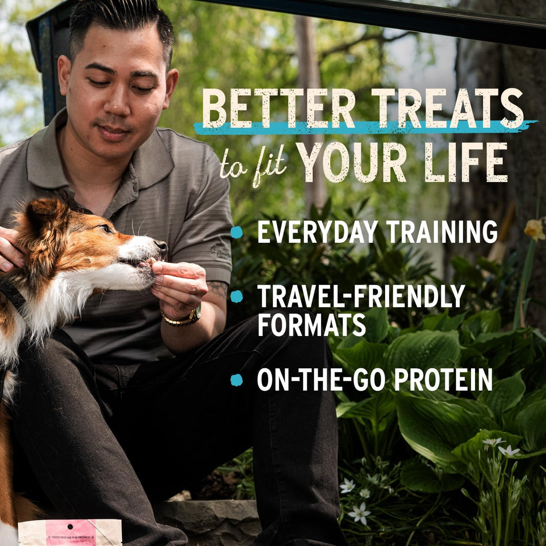 Vital Essentials Freeze Dried Raw Chicken Hearts Dog Treats