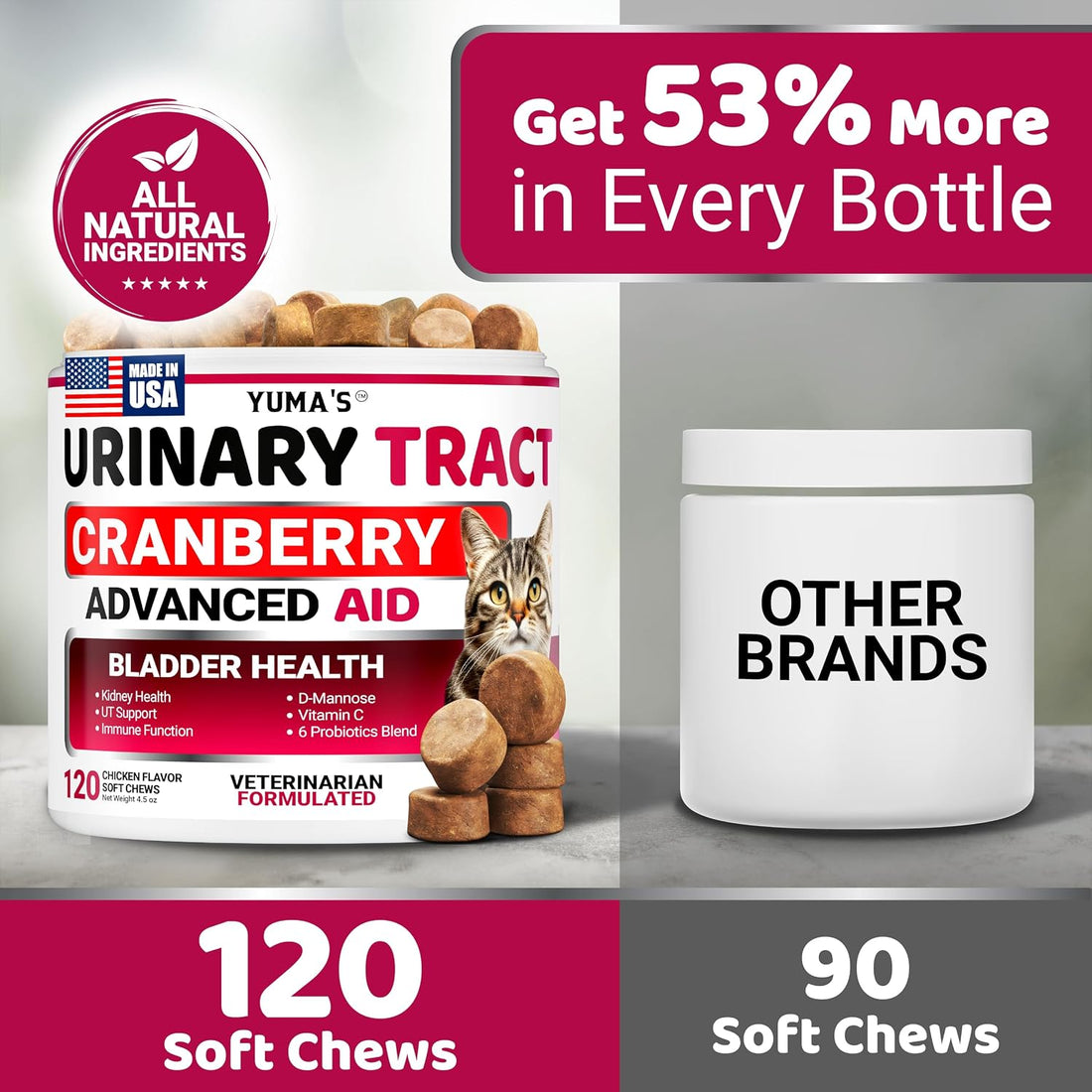 Cat Urinary Tract Health - Cranberry Supplement for Cats