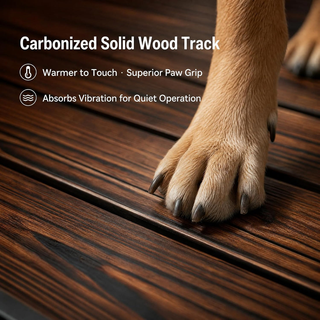 Curved Wooden Dog Treadmill, Zero Assembly, Ready to Use