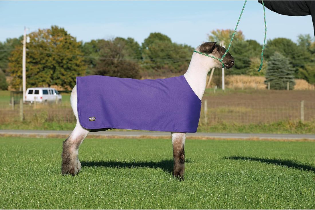 Weaver Leather Sheep Underblanket Large/Extra Large Purple