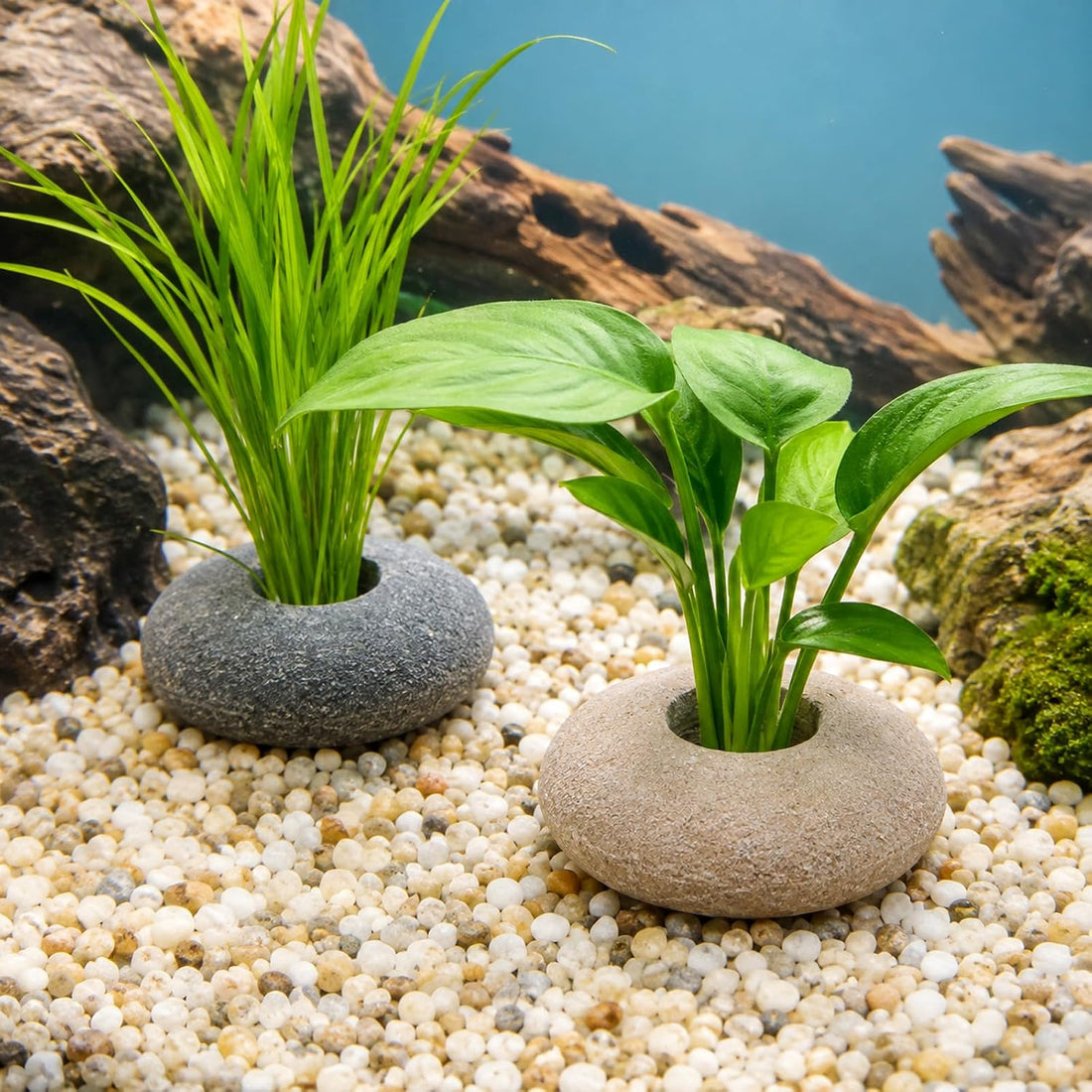 6 PCS Natural River Stone Plant Weights for Aquarium