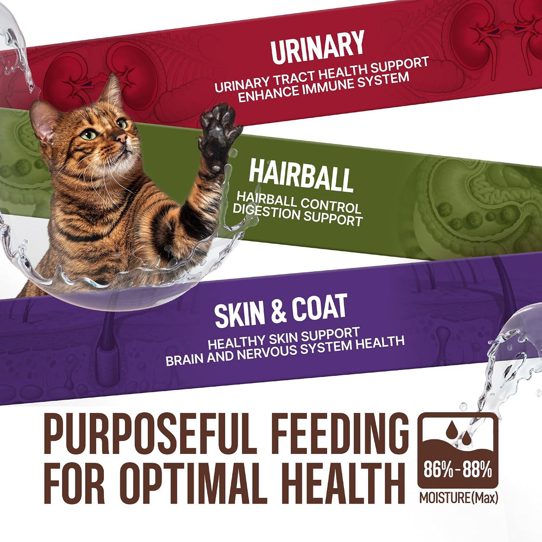 PETPHABET Lickable Cat Treats Spoon, 3 Flavors Variety Pack, 36 Count