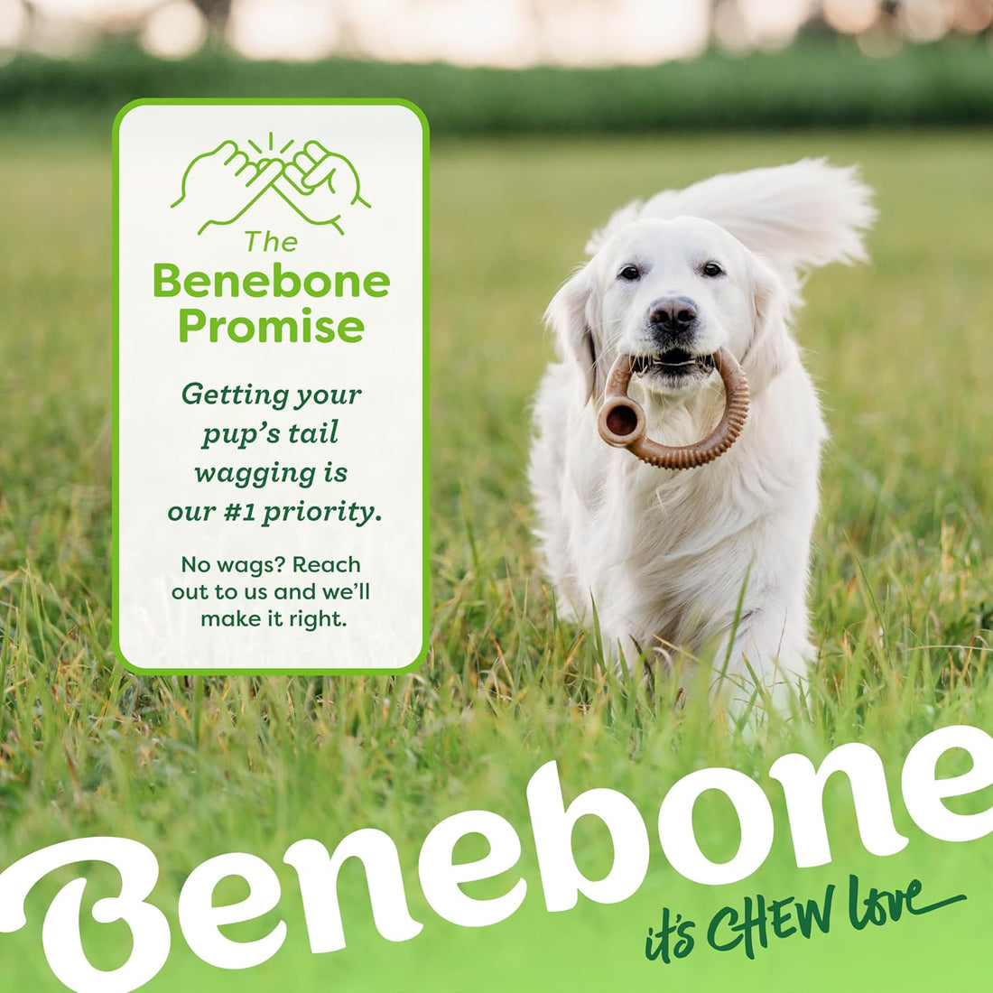 Benebone Ring Durable Dog Chew Toy for Aggressive Chewers, Real Bacon