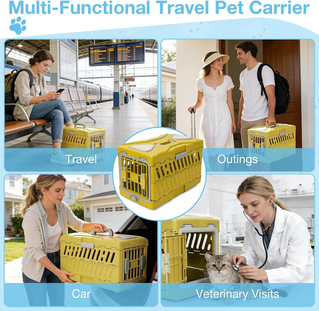Collapsible Cat Carrier Hard, Plastic Hard-Shell Pet Carrier Travel