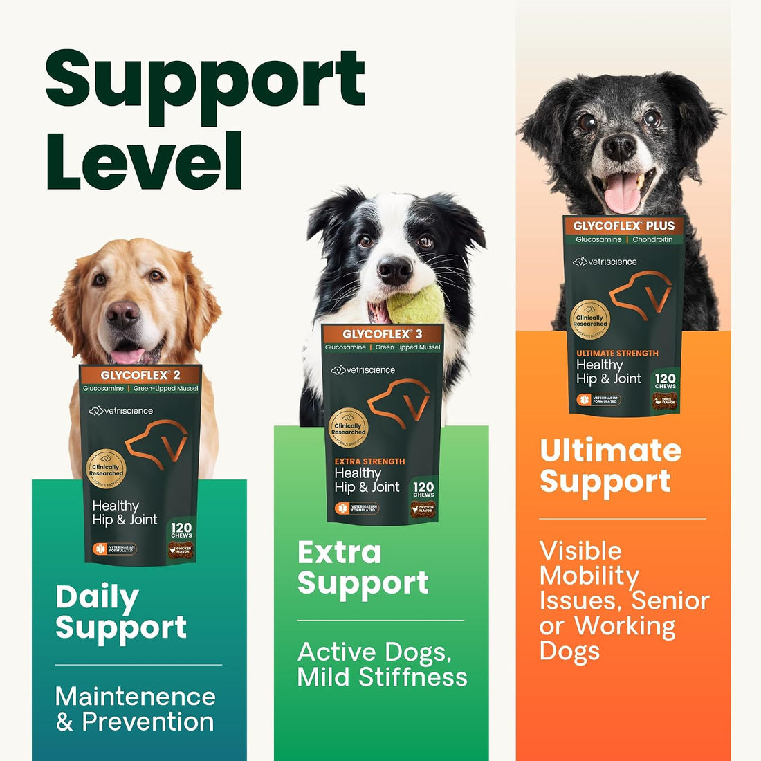 VetriScience Healthy Hip & Joint Chews for Dogs, Chicken, 120 Count