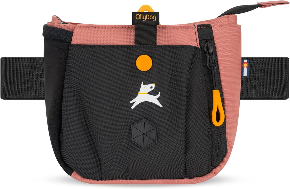 OllyDog Backcountry Day Bag | Dog Training Treat Pouch