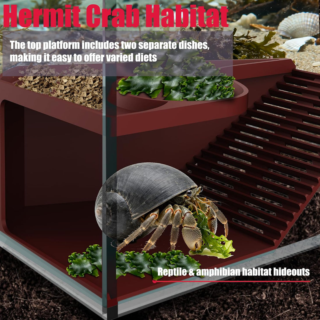 Hermit Crab Accessories | Hermit Crab Climbing Toys with Climbing Wall