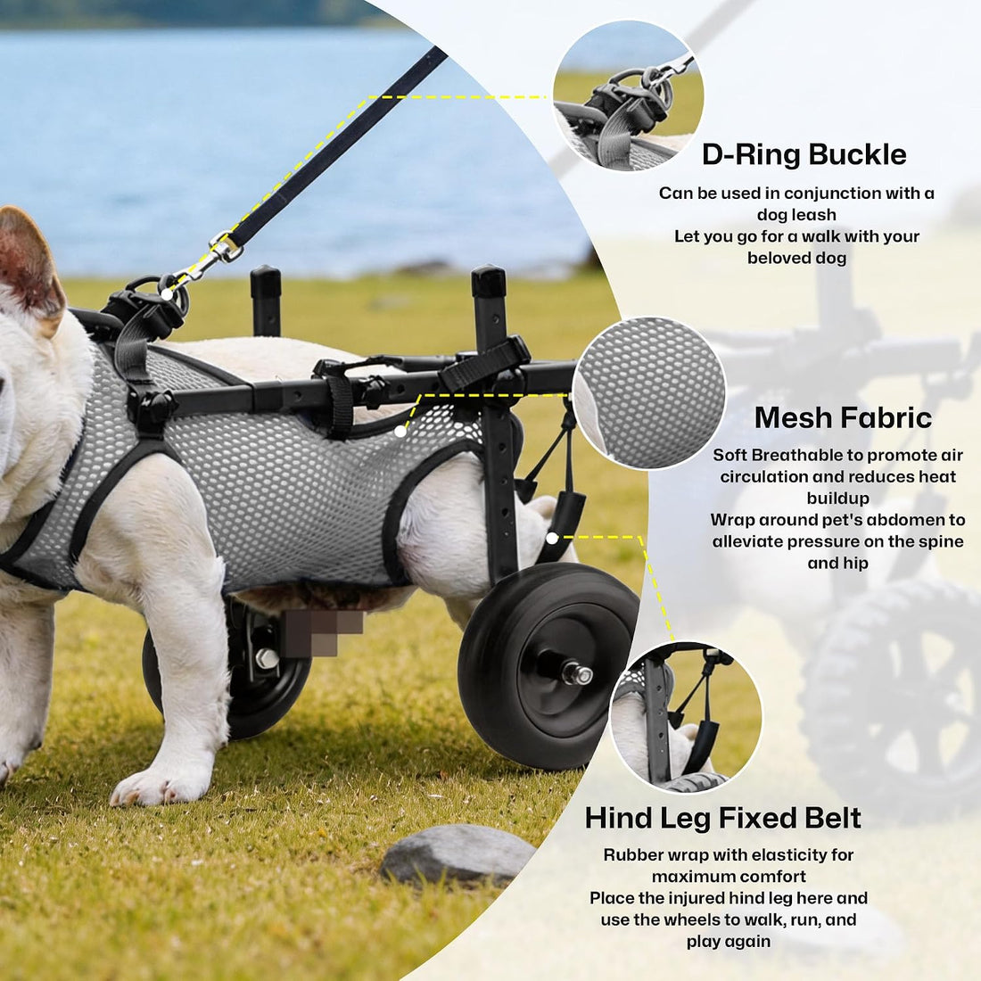 Rear Wheels Mobility Aid Cart Dog Wheelchair for Back Legs, M