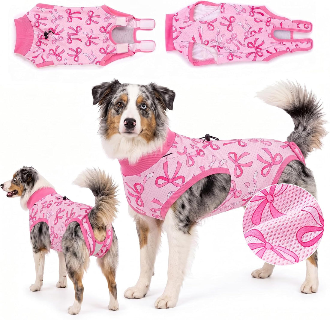 Glittme Dog Surgery Recovery Suit with Breathable Mesh for Female