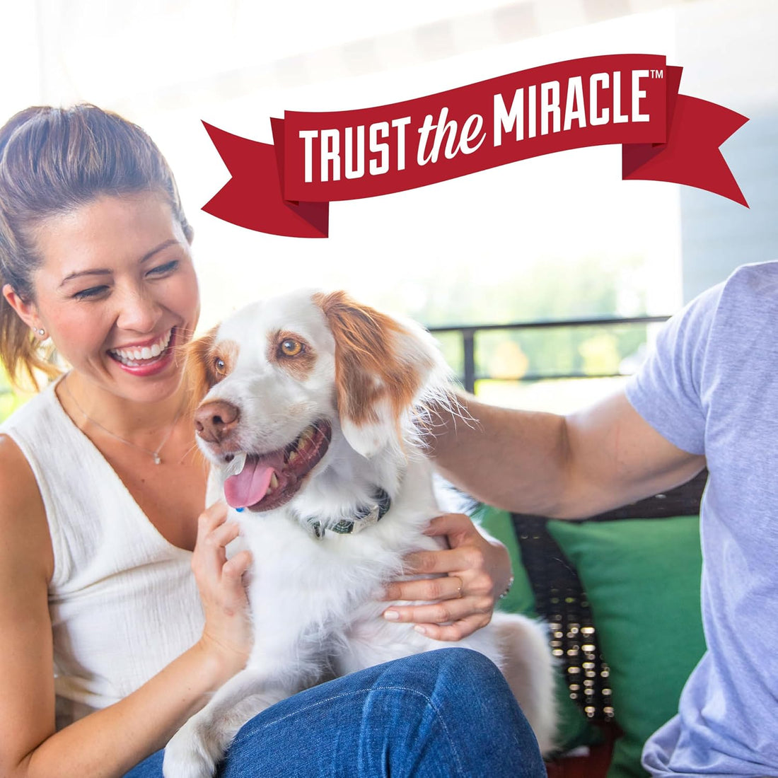 Nature's Miracle Dog Pet Block Repellent Spray, for Indoor Training