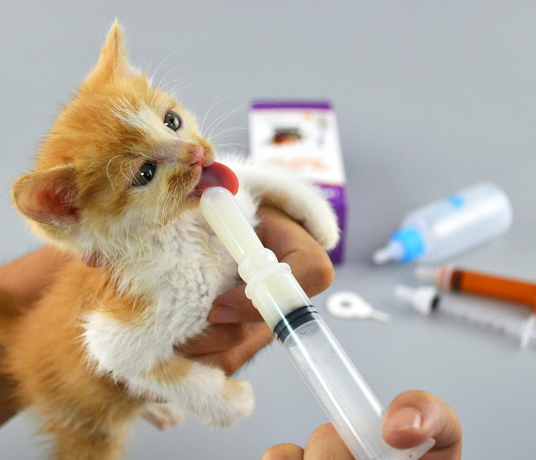 Kitten Bottles for Nursing. Pet Puppy Bottles. Dog and cat and Wild