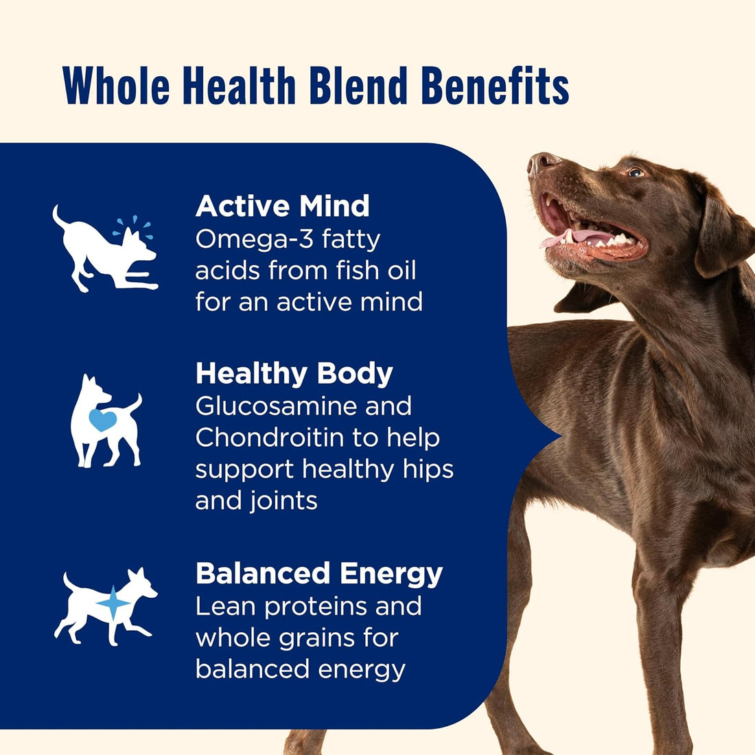Nutrish Large Breed Dry Dog Food with Beef, 40 lb. Bag (Rachael Ray)