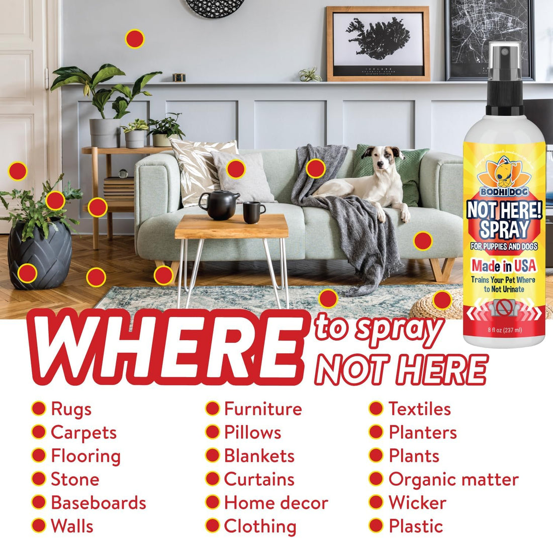 Bodhi Dog Not Here Spray - Trains Pets Where Not To Pee