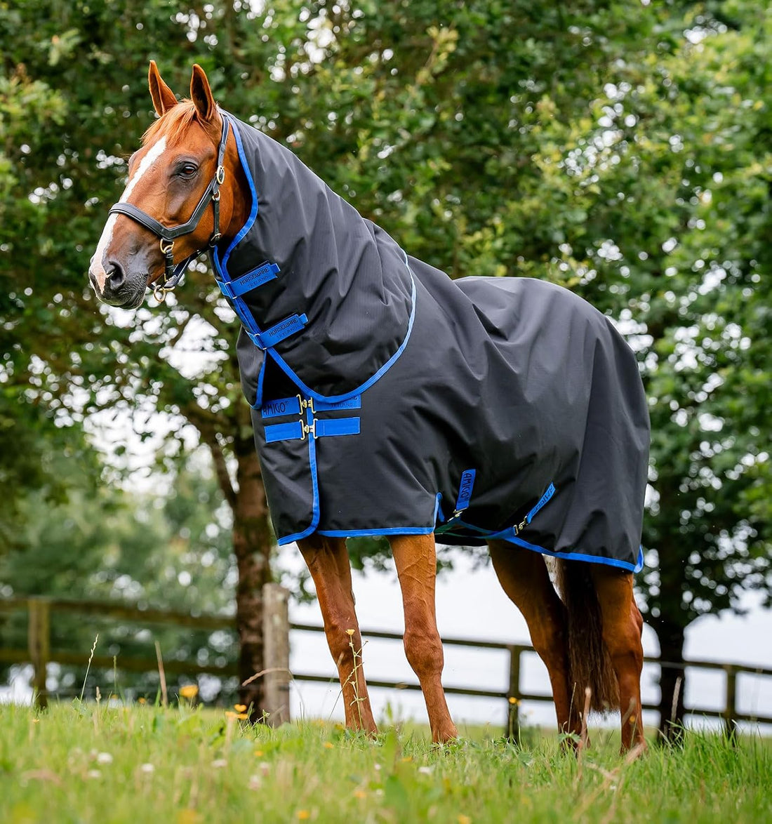 Horseware® Amigo® Ripstop 900D Plus Turnout 100g