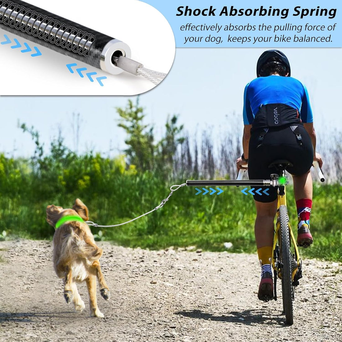 Hands-Free Bicycle Dog Leash for Cycling