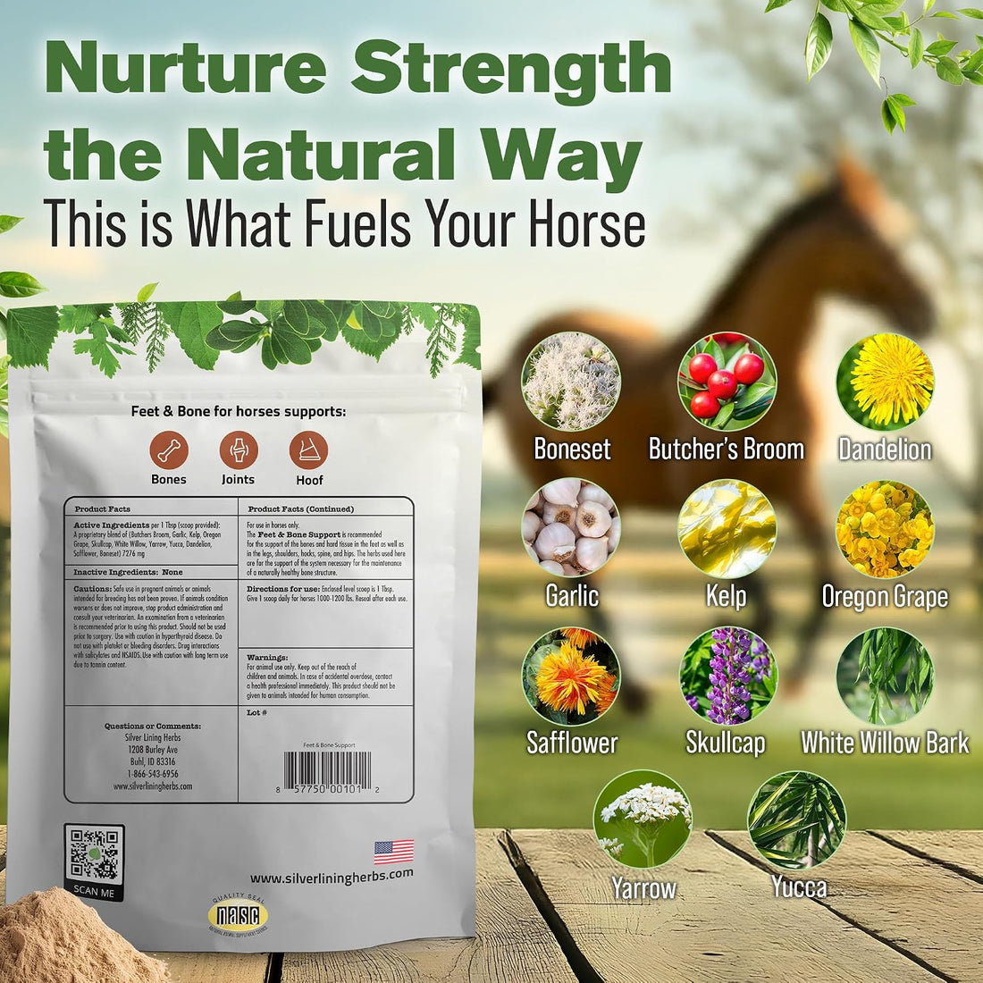 Silver Lining Herbs Feet & Bone Horse Hoof Supplements, Tendons