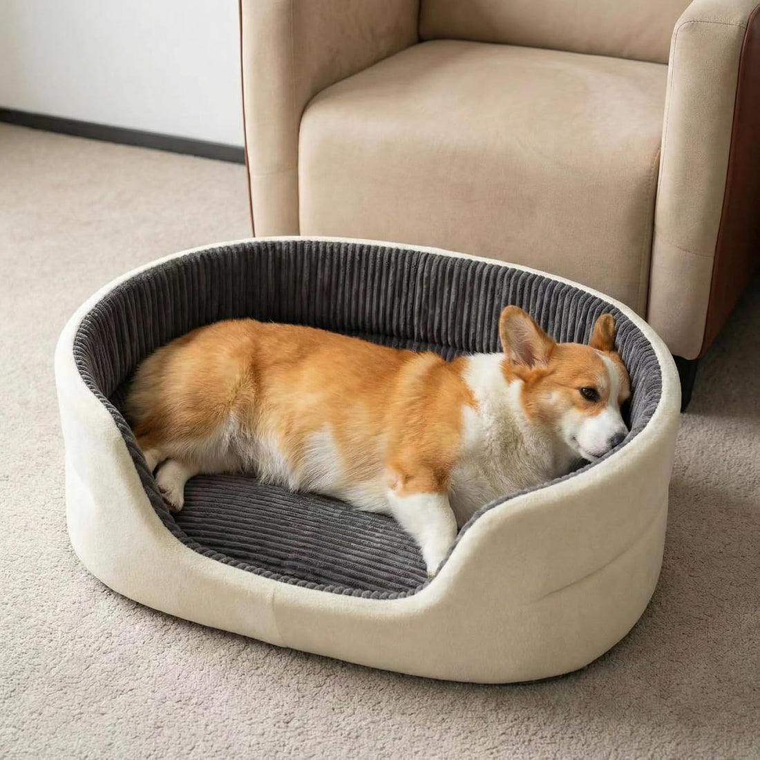 Small Dog Bed Cat Bed 16x20 Inch, Calming Pet Bed for Dogs & Cats
