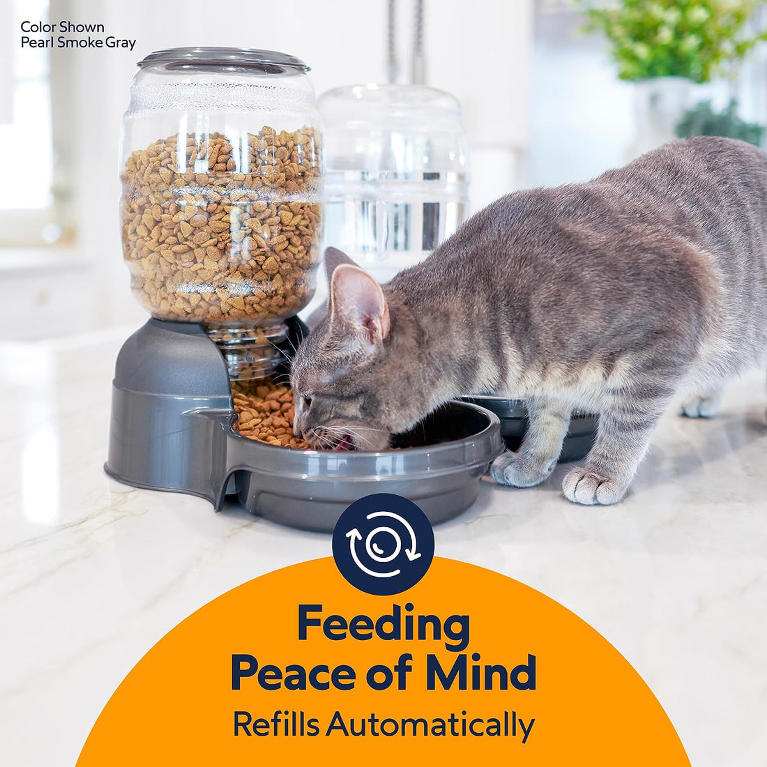 Petmate Replendish Automatic Dog Feeder Gravity Pet Treat Dispenser
