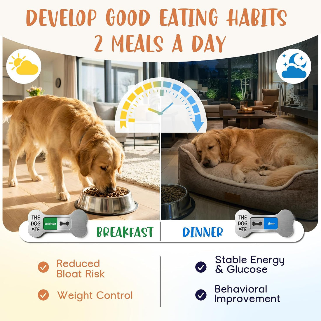 Dog Feeding Reminder Supplies with Magnet