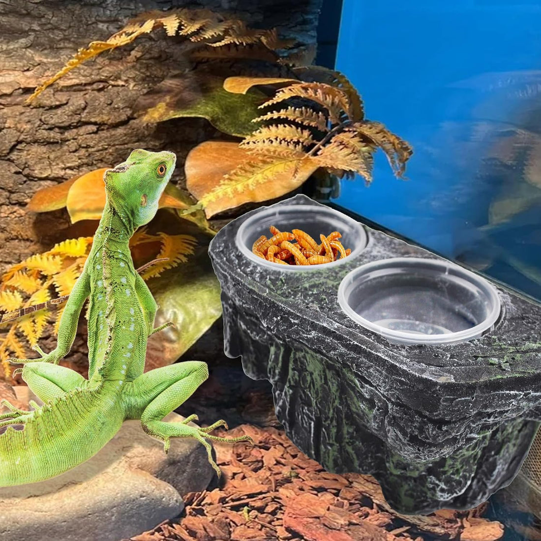kathson Magnetic Reptile Feeder Ledge,Double Bowl Magnetic Lizard