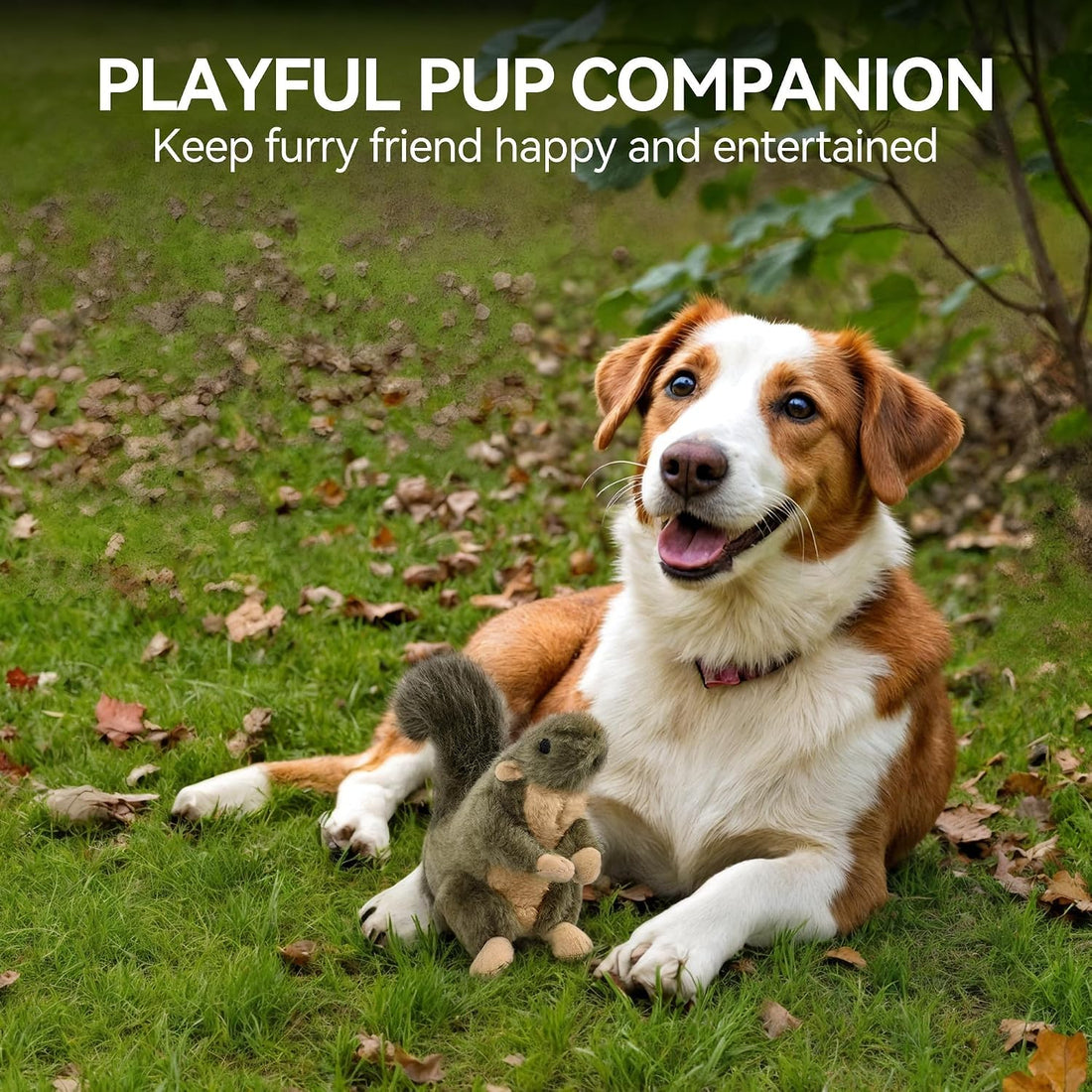 ALL FOR PAWS Classic Squirrel Pet Toys, Small