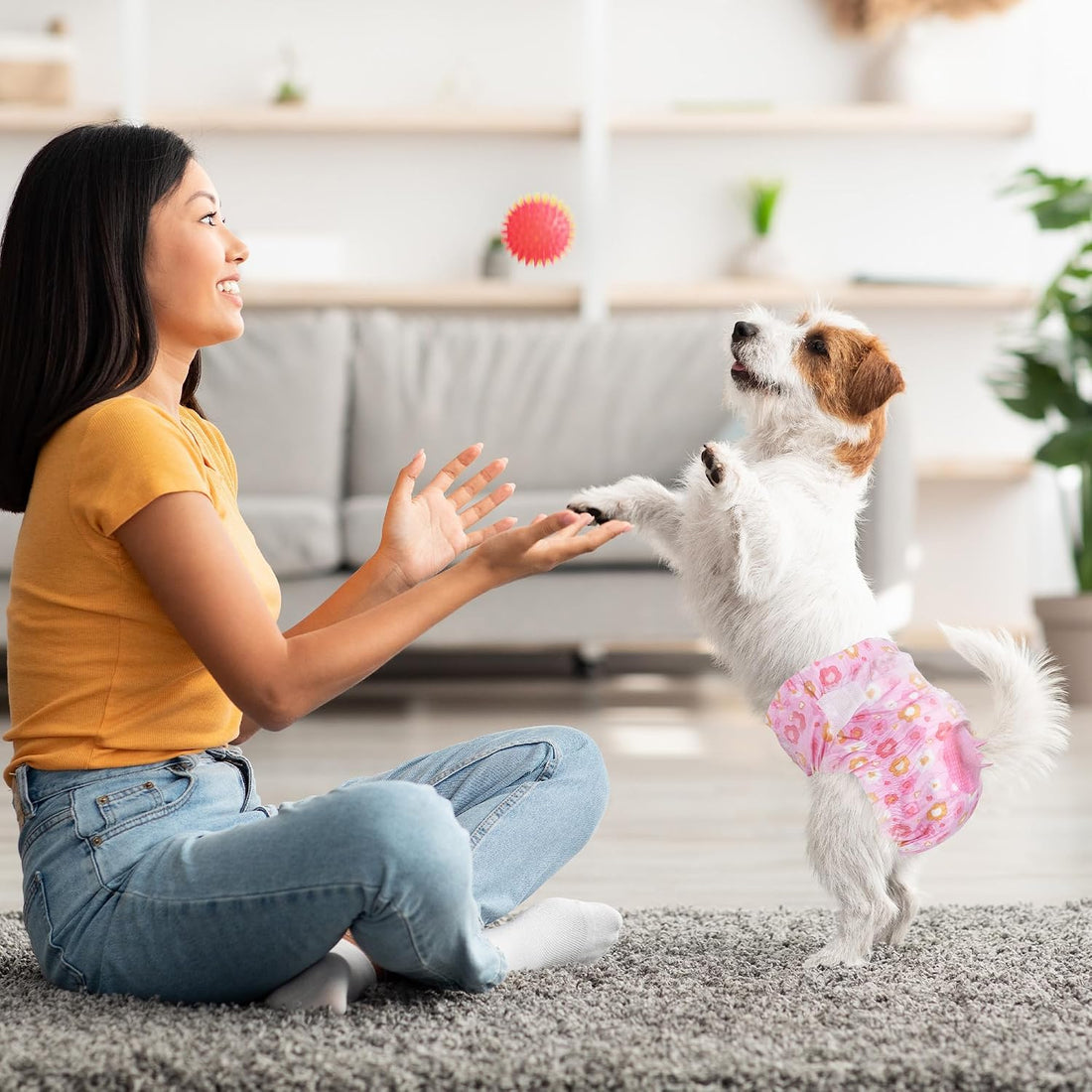 Pet Soft Dog Diapers Female, Disposable Female Dog Diaper