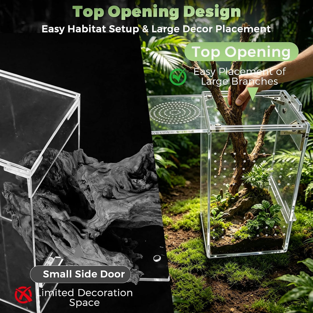 Jumping Spider Enclosure 4" x 4" x 8" Acrylic Habitat Kit