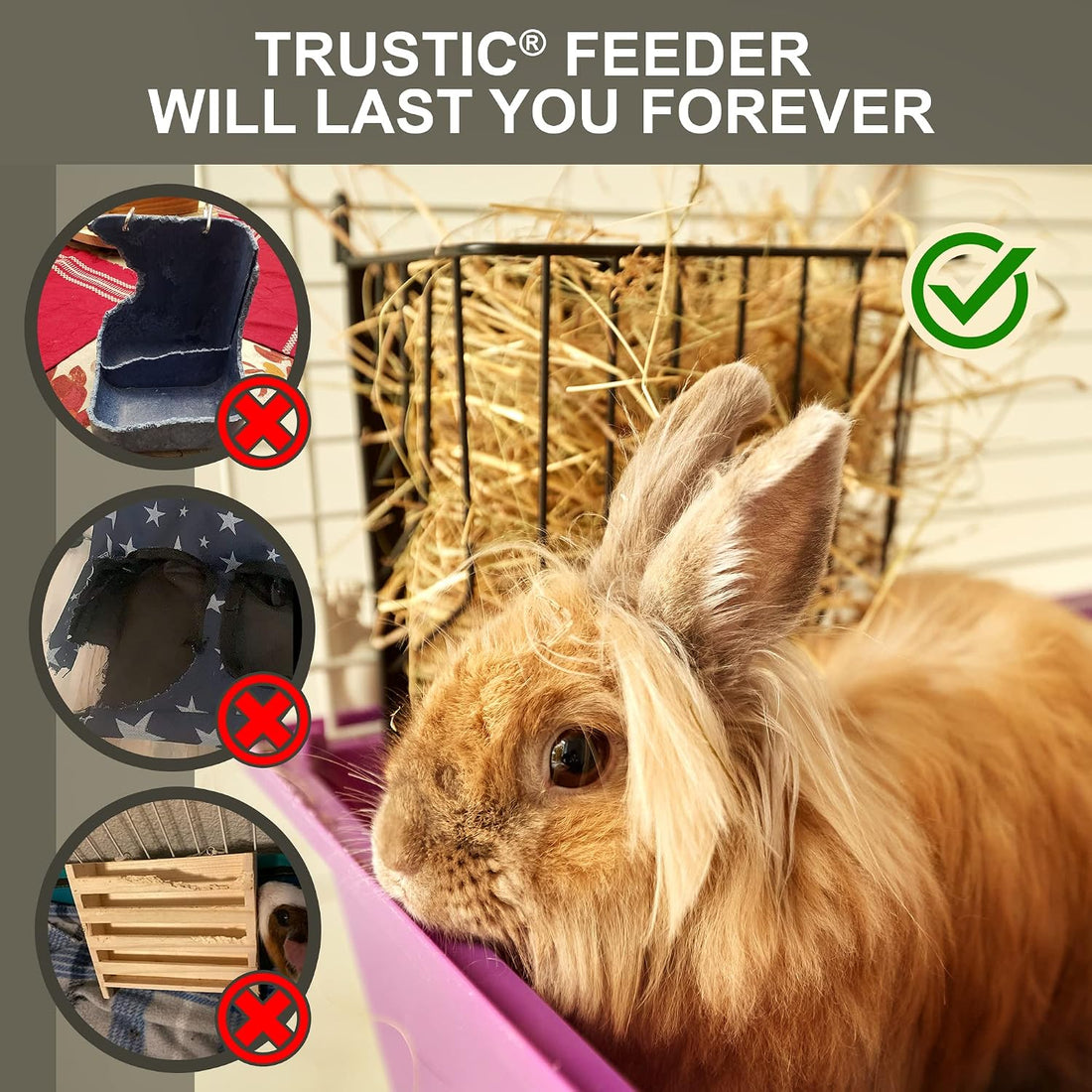 Hay Feeder for Rabbit, Guinea Pig, Bunny, Chinchilla