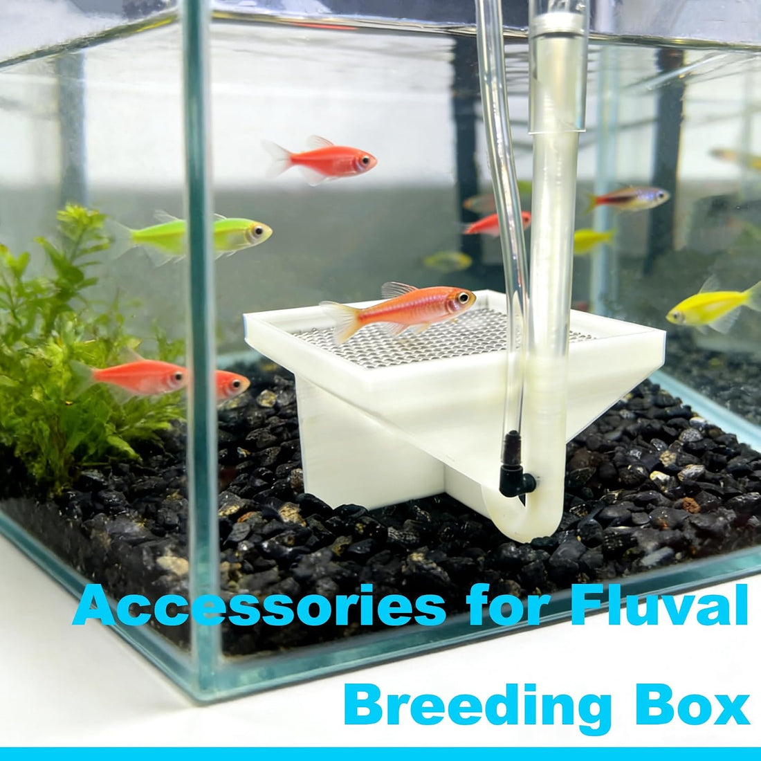 Compatible with Fluval Hatchery Box
