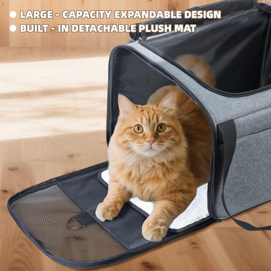 AIWIKIDE Lightweight Waterproof Cat Carrier