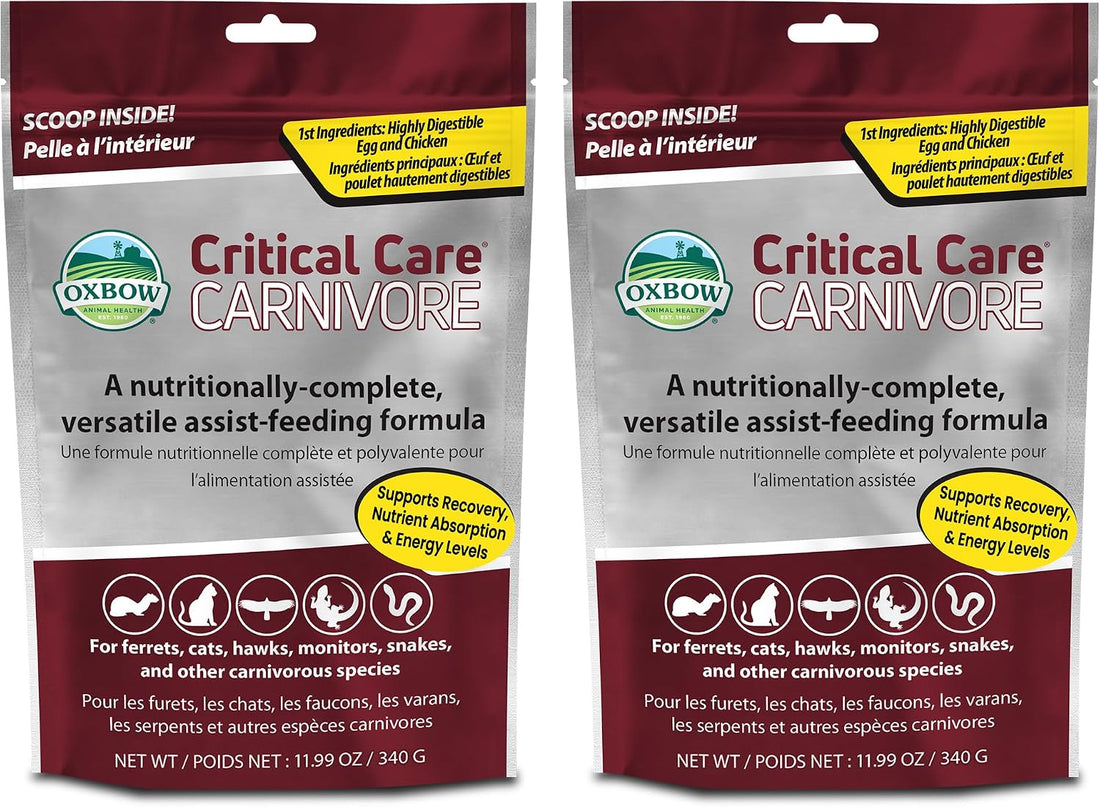 Oxbow Critical Care Carnivore Formula for Cats & Ferrets, 340g