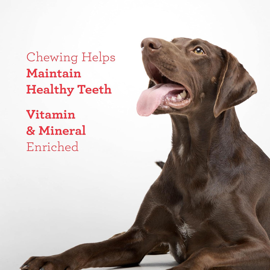 DreamBone Twist Stick Sirloin Rawhide-Free Dog Treats, 15 Count