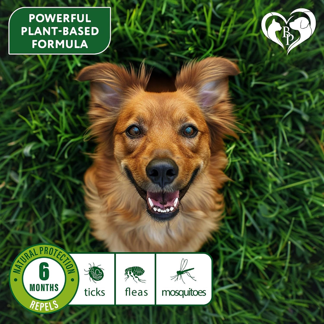 Natural Flea & Tick Collar for Dogs