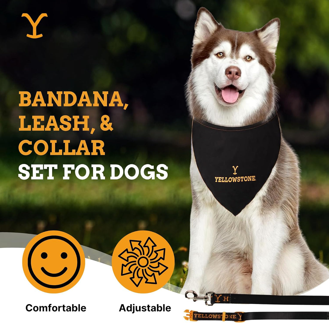 Official Yellowstone Dog Collar, Bandana & Leash Set