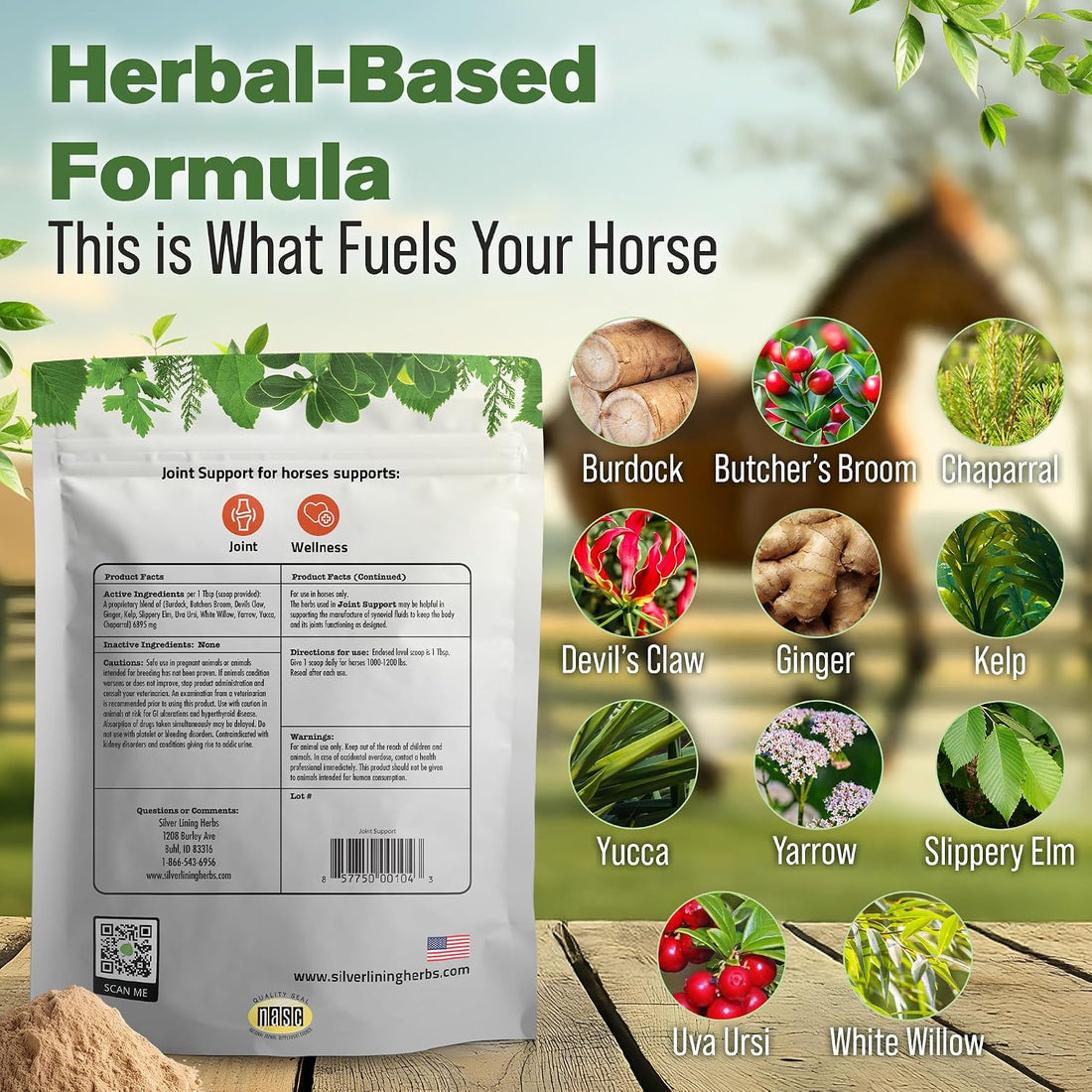 Silver Lining Herbs Horse Joint Supplement - Mobility & Comfort