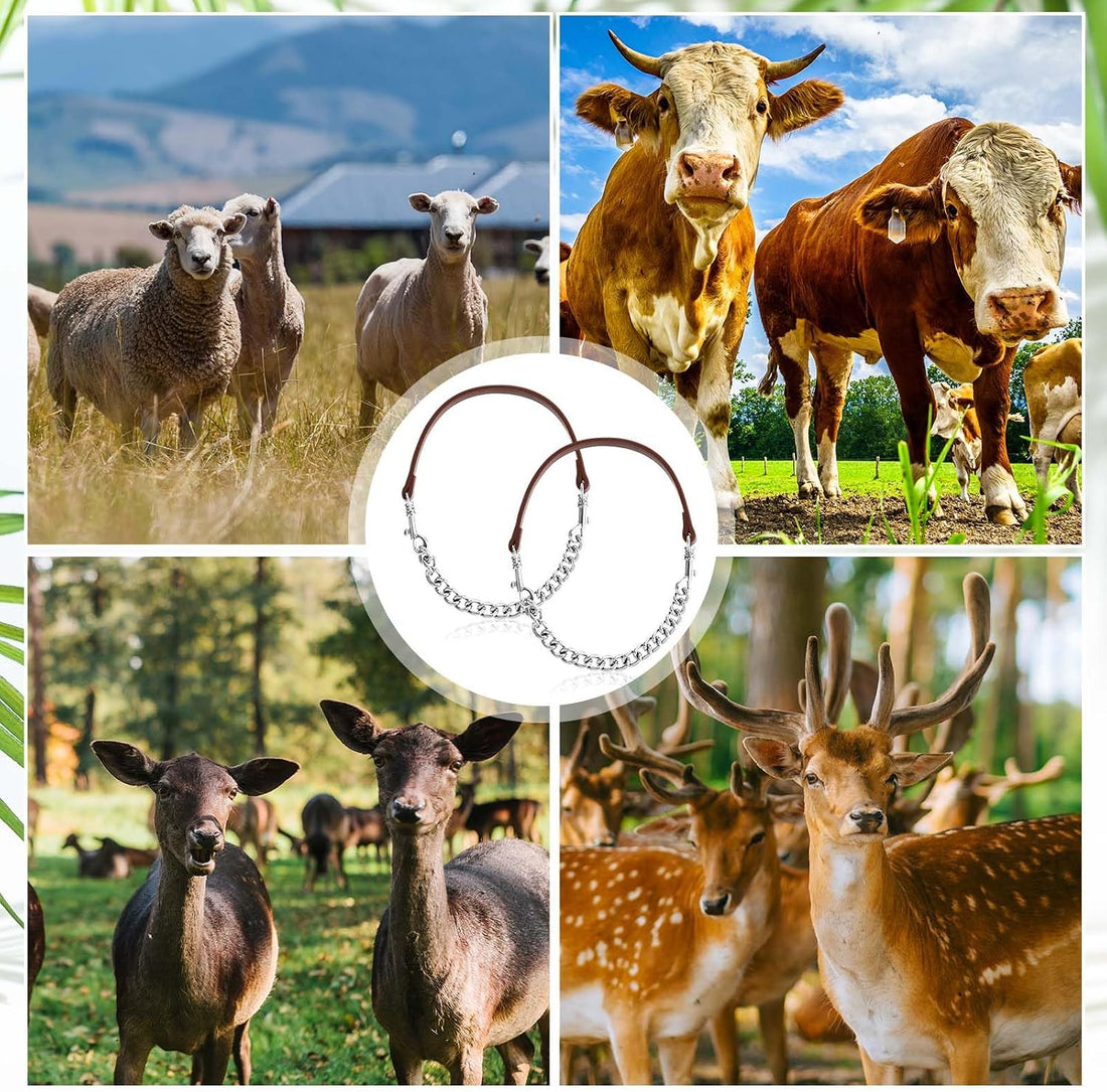 Misdary 1 Pcs Goat Show Collars Adjustable 14" Chain, 14''