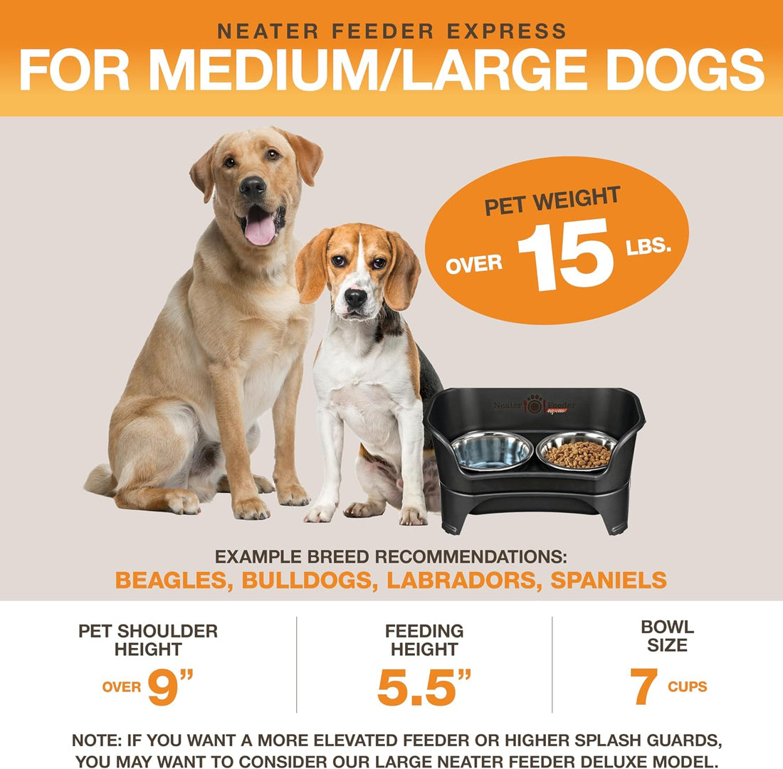 Neater Feeder Express Mess Proof Dog Bowls Elevated for Medium